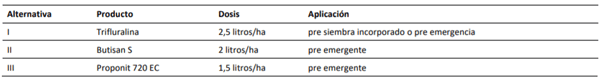 Opciones de herbicidas pre siembra y pre emergente en el cultivo de rutabaga.