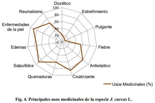 Jatropha curcas (L.), una especie con potencialidades para la salud animal en el trópico - Image 8