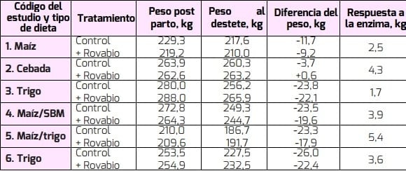 Cerdas Reproductoras se benefician de Enzimas que degradan NSP - Image 1