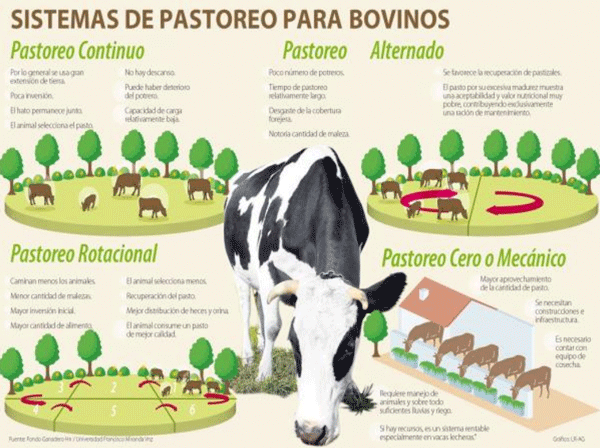 UNA OPCIÓN PARA INTENSIFICAR Y HACER MÁS AMIGABLE CON EL AMBIENTE LA PRODUCCIÓN CON RUMIANTES EN PASTOREO EN EL TRÓPICO 
