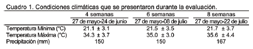 Rendimiento y valor nutritivo de forraje en híbridos de Urochloa (CAYMAN Y COBRA) y pasto buffel - Image 1