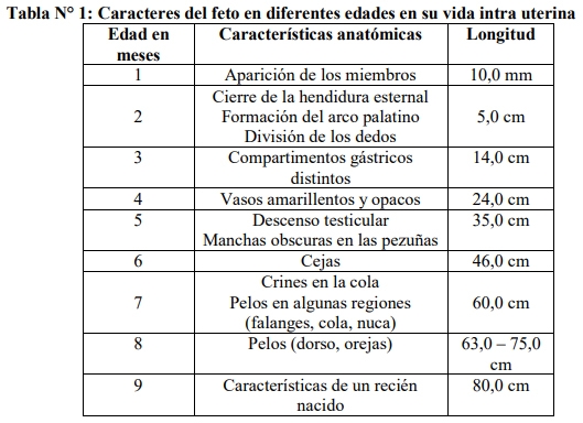 Obstetricia y neonatología bovina: III. Evolución uterina y fetal durante la gestación - Image 1