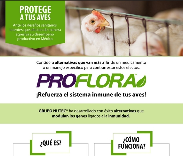 Fitogénicos: Una herramienta para una alimentación con salud - Image 2
