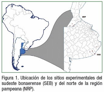 Mineralización de nitrógeno en maíz: efecto de zona y fecha de siembra - Image 1