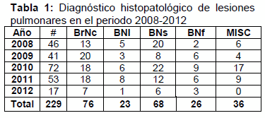 Estudio Retrospectivo de los Casos de Lesiones Pulmonares Producidas por el Virus de Influenza en Cerdos Remitidos al Laboratorio de Patología Especial Veterinaria, UNLP - Image 1