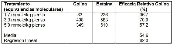 Eficacia de Betafin® vs. cloruro de colina para elevar el contenido de betaina en el hígado de los pollos - Image 2