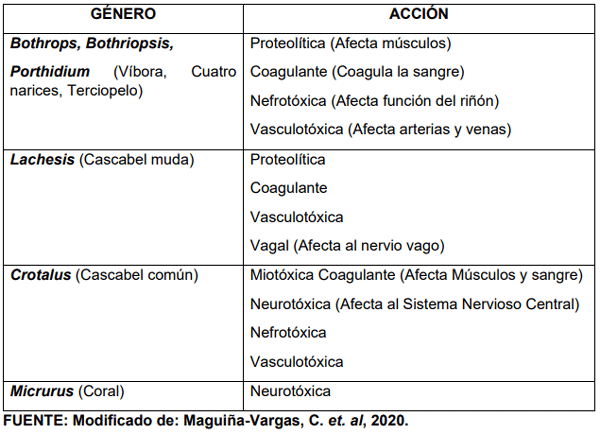 CUADRO 1. Acciones de los venenos, según el género de la serpiente 