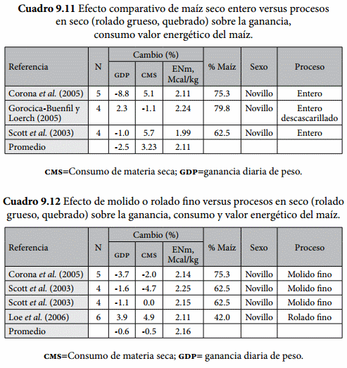 Procesamiento de los granos - Image 11