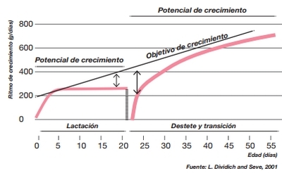 Potenciador del consumo para lechones - Image 5