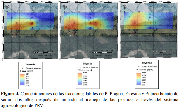 Pastoreo Racional Voisin con dosis única de emulsión asfáltica y roca fosfórica en suelos ácidos de baja fertilidad natural - Image 6