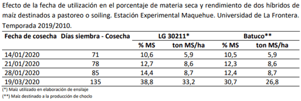 Manual del cultivo de maíz para ensilaje - Pastoreo y soiling: Octavo Capítulo - Image 1