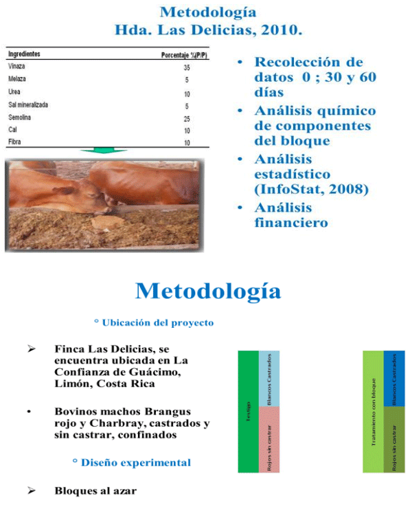 BOTERO - ELABORACIÓN, USO Y RENTABILIDAD DE LOS BLOQUES MULTINUTRICIONALES COMO SUPLEMENTO PARA RUMIANTES EN AMÉRICA TROPICAL - Image 5