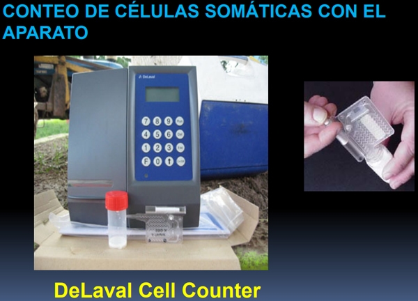 Pruebas para el diagnóstico de la mastitis bovina - Image 20