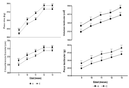 Figura 1. Evolución del peso vivo (kg), circunferencia escrotal (cm), volumen testicular (cm3 ) y el peso testicular (g) en toros de raza Angus (A, ▪) y Criollo (C, ●) desde los 9 hasta los 13 meses de edad.