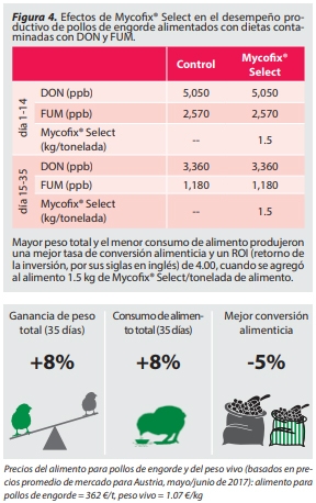Lo último en gestión de riesgos de micotoxinas para aves - Image 4