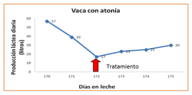 Uso de un animal fistulado en rumen, para resolver los problemas digestivos en bovinos - Image 1