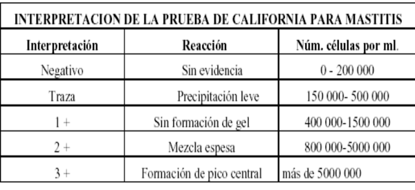 Pruebas para el diagnóstico de la mastitis bovina - Image 17
