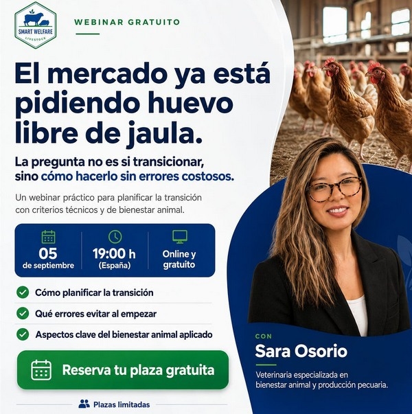 Requisitos que debe cumplir una granja de pollos de engorde LATAM - Image 1
