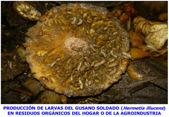 BOTERO - CAPÍTULO VI: PRODUCCIÓN DE ABONOS ORGÁNICOS, COMO ESTRATÉGIA PARA REDUCIR LA CONTAMINACIÓN AMBIENTAL COMO PRODUCTO DE LA GANADERÍA TROPICAL OPCIONES PARA EL MANEJO PRODUCTIVO DE EXCRETAS EN SISTEMAS GANADEROS TROPICALES - Image 4