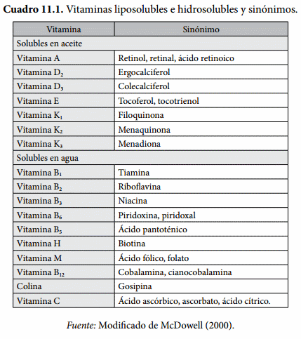 Vitaminas en el ganado bovino de engorda - Image 1
