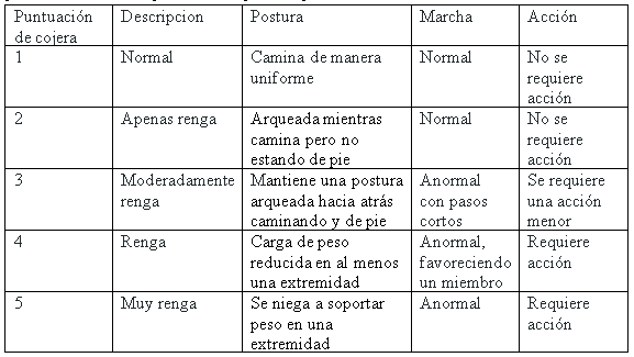 Afecciones Podales - Capítulo 2 - Detección temprana de vacas rengas - Image 1