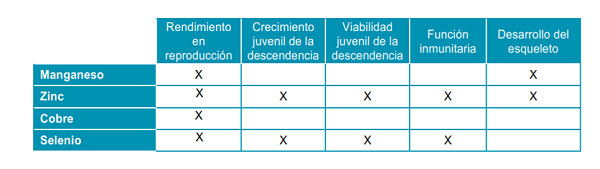 Micronutrición en etapas críticas de las ponedoras - Image 1