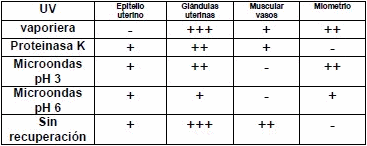 Comparación de técnicas de recuperación antigénica en placentas y úteros porcinos para la determinación de receptores de progesterona - Image 3