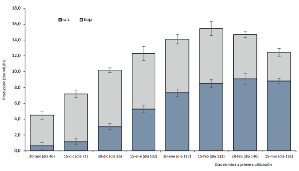 Rendimiento acumulado y aporte de hojas y raíces desde la siembra a la cosecha de nabos forrajeros. Promedio de 64 predios lecheros. Plan lechero Watt´s. Loncoche – Frutillar. Periodo 2010 – 2016.