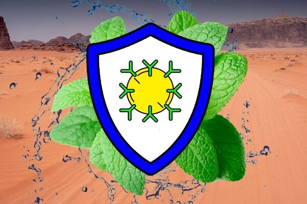 Estrés térmico e inmunosupresión, ¡aceites esenciales al rescate! - Image 1