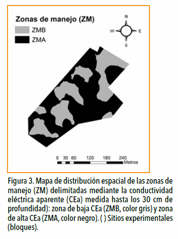 Fertilización nitrogenada en agropiro alargado en función de zonas de manejo delimitadas mediante la conductividad eléctrica aparente - Image 3
