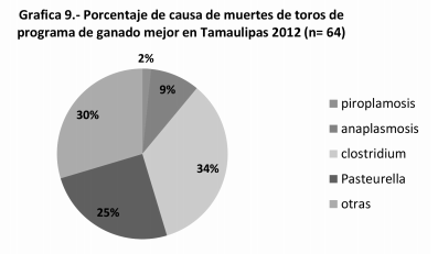 Vacuna contra piroplasmosis en bovinos de Tamaulipas, ventajas y beneficios. - Image 11