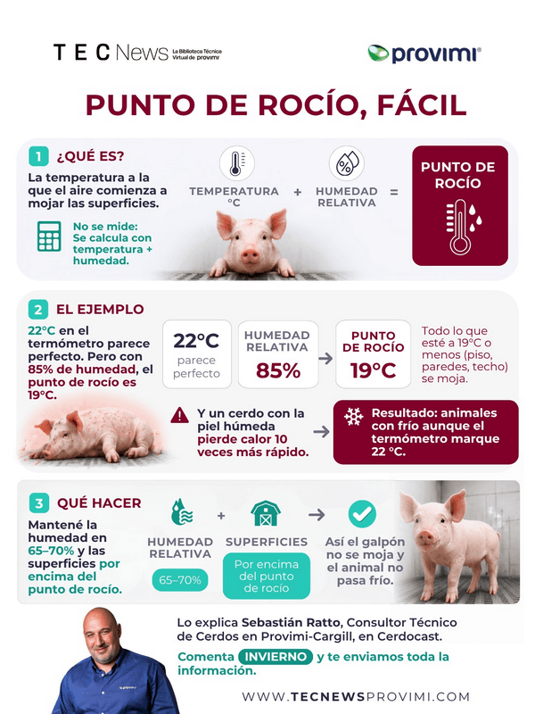 Punto de rocío en galpones porcinos: la sensación térmica del cerdo - Image 1
