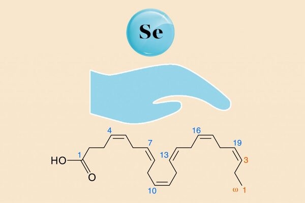 Funciones del selenio en la salud, la productividad y la calidad del huevo de ponedoras y reproductoras - Image 4