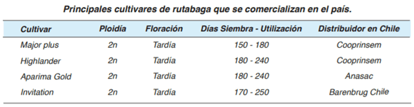 FORRAJERAS - 4 Forrajes suplementarios - Image 3
