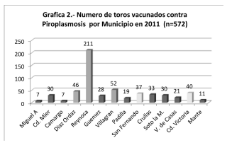 Vacuna contra piroplasmosis en bovinos de Tamaulipas, ventajas y beneficios. - Image 4
