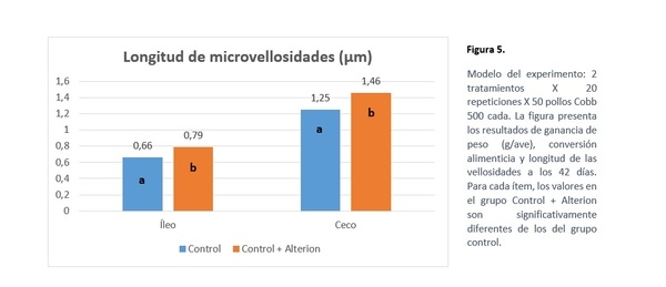 Cómo mejorar la eficiencia alimenticia actuando sobre tres pilares - Image 6