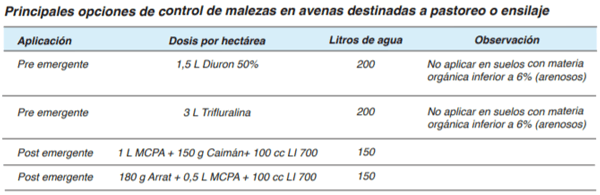 FORRAJERAS - Forrajes suplementarios - Image 5