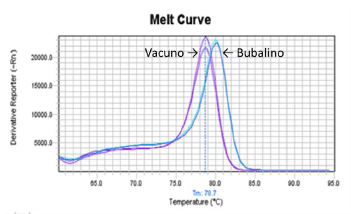 Figura 1. Curva de melting de los productos amplificados