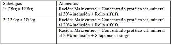 Engorde Machos Holando: Dietas simples y eficientes - Image 1