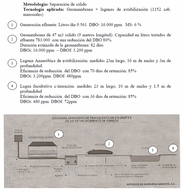Pautas básicas para el manejo de efluente porcino - Image 12
