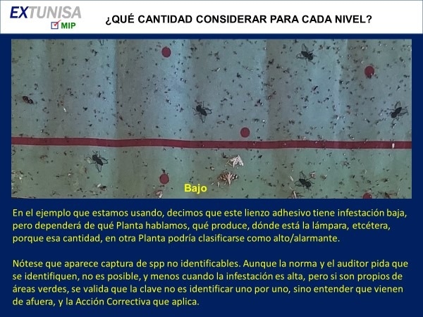 Lámparas UV: Clasificación y conteo de Insectos - Image 2