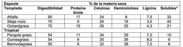 Ensilaje de maíz para optimizar la producción de leche y carne en el trópico. - Image 1