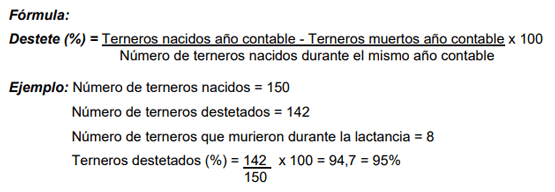 fórmula