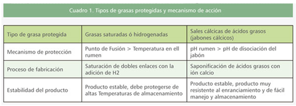 Uso de grasas protegidas en la alimentación de rumiantes - Image 7