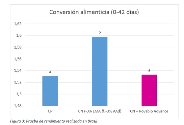 Cómo mejorar la eficiencia alimenticia actuando sobre tres pilares - Image 4