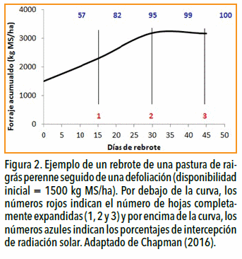 Vuelven las pasturas: Manejo y fertilización para nuevos modelos ganaderos - Image 3