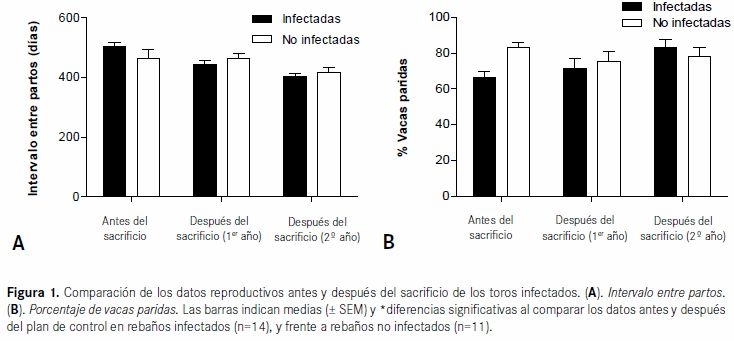 Eficacia de un programa de control frente a la tricomonosis bovina basado en el diagnóstico y sacrificio de toros infectados - Image 2