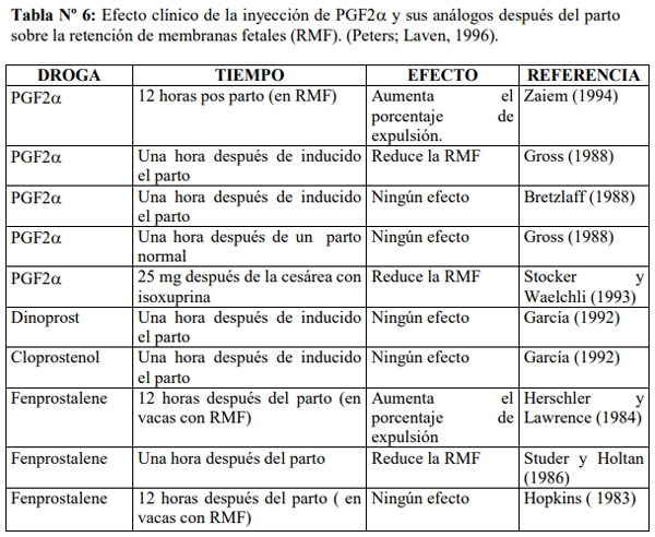 Obstetricia y neonatología bovina: XIII. Puerperio Patológico - Image 2