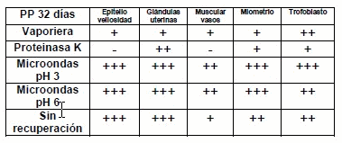 Comparación de técnicas de recuperación antigénica en placentas y úteros porcinos para la determinación de receptores de progesterona - Image 2