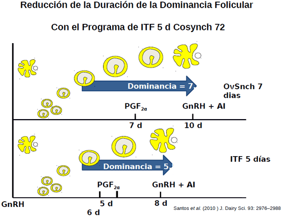 Eficiencia Reproductiva en el Ganado Lechero y su Recuperación Económica - Image 11